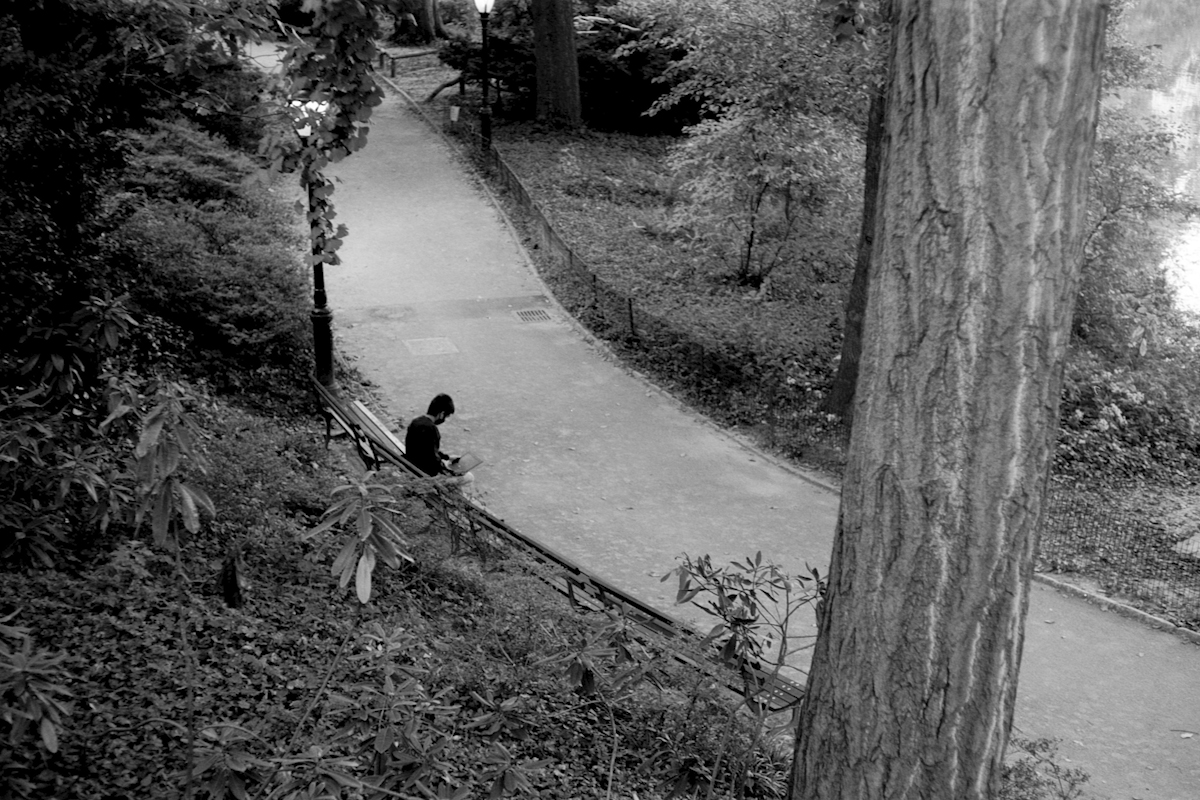 Person alone in park